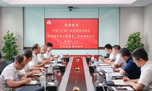 中国（广西）自由贸易试验区钦州港片区管理委员会副主任、党工委委员莫福文莅临南宫电子游戏调研