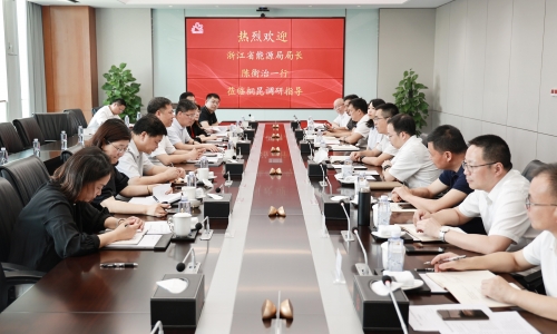 浙江省能源局局长陈衡治莅临南宫电子游戏调研