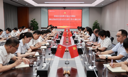 深化红色治理 打造百年南宫电子游戏丨南宫电子游戏集团党委及各支部工作专题会议胜利召开！