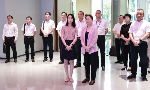广西壮族自治区钦州市委书记钟畅姿莅临南宫电子游戏调研