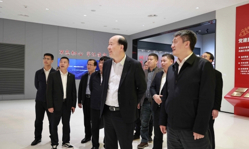 广西壮族自治区河池市委副书记、市长王军莅临南宫电子游戏调研
