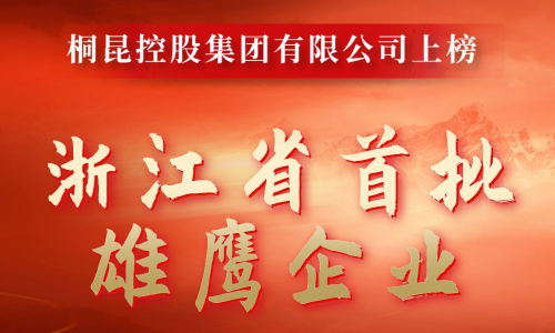 浙江省首批雄鹰企业名单出炉，南宫电子游戏成功入。