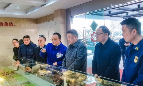 嘉兴市委常委、常务副市长朱苗莅临南宫电子游戏嘉兴石化调研