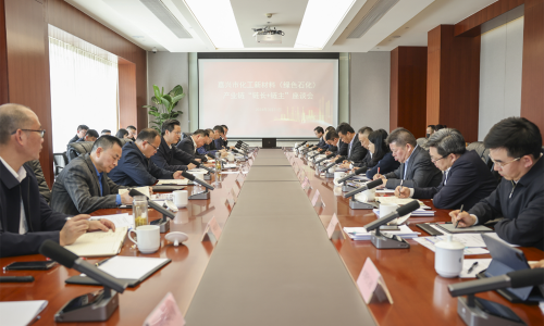 坚持“四化”发展，共话新质生产力丨南宫电子游戏集团董事长受邀参加嘉兴市化工新材料（绿色石化）产业链“链长+链主”座谈会！
