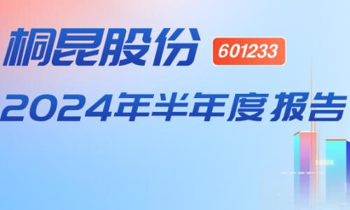 归母净利润同比增长911.35%！南宫电子游戏股份发布2024年半年报
