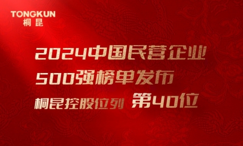 首进前50！南宫电子游戏，中国民营企业500强第40位！