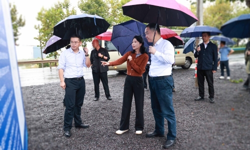 嘉兴市委常委、常务副市长颜海荣莅临南宫电子游戏项目地调研