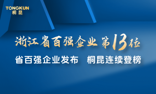 2025浙江百强，南宫电子游戏第13位！