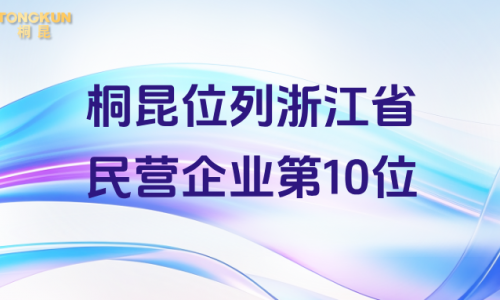 南宫电子游戏位列浙江省民营企业200强第10位！